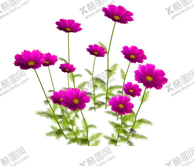 编号：58390209151222412468【酷图网】源文件下载-鲜花装饰