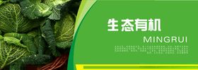 蔬菜海报