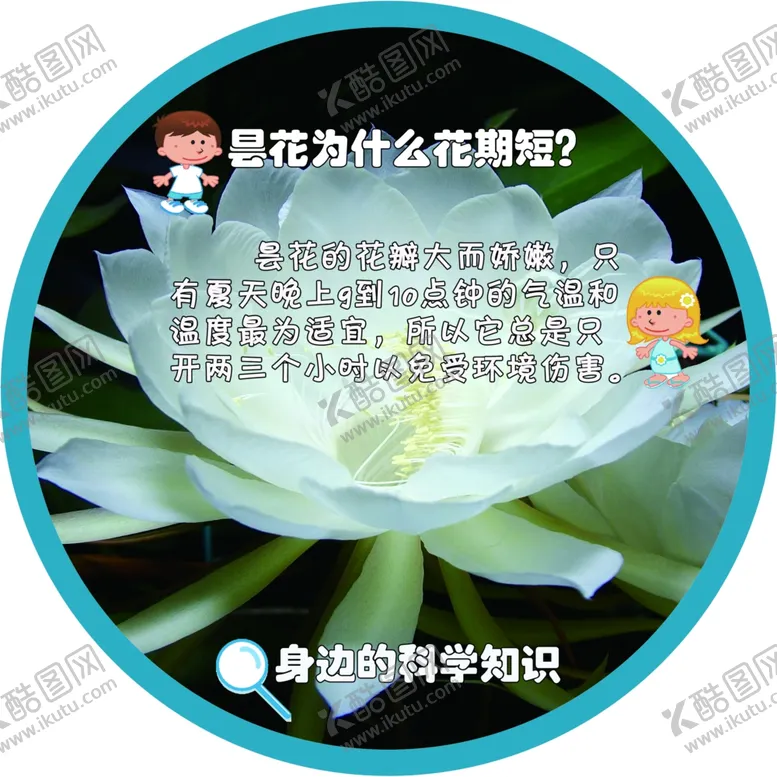 编号：10025901280340101618【酷图网】源文件下载-十万个为什么