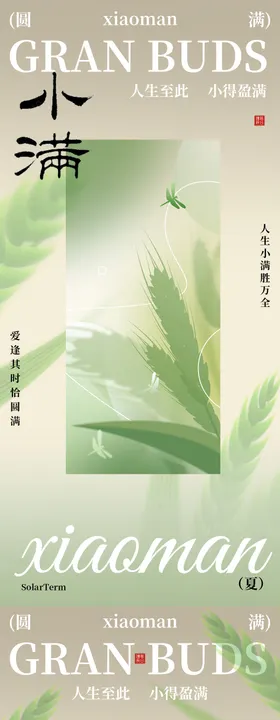 小满节气农田风光海报设计