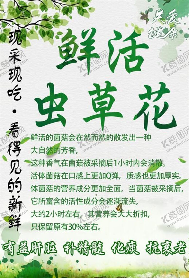 编号：03596709150709559631【酷图网】源文件下载-鲜活虫草花