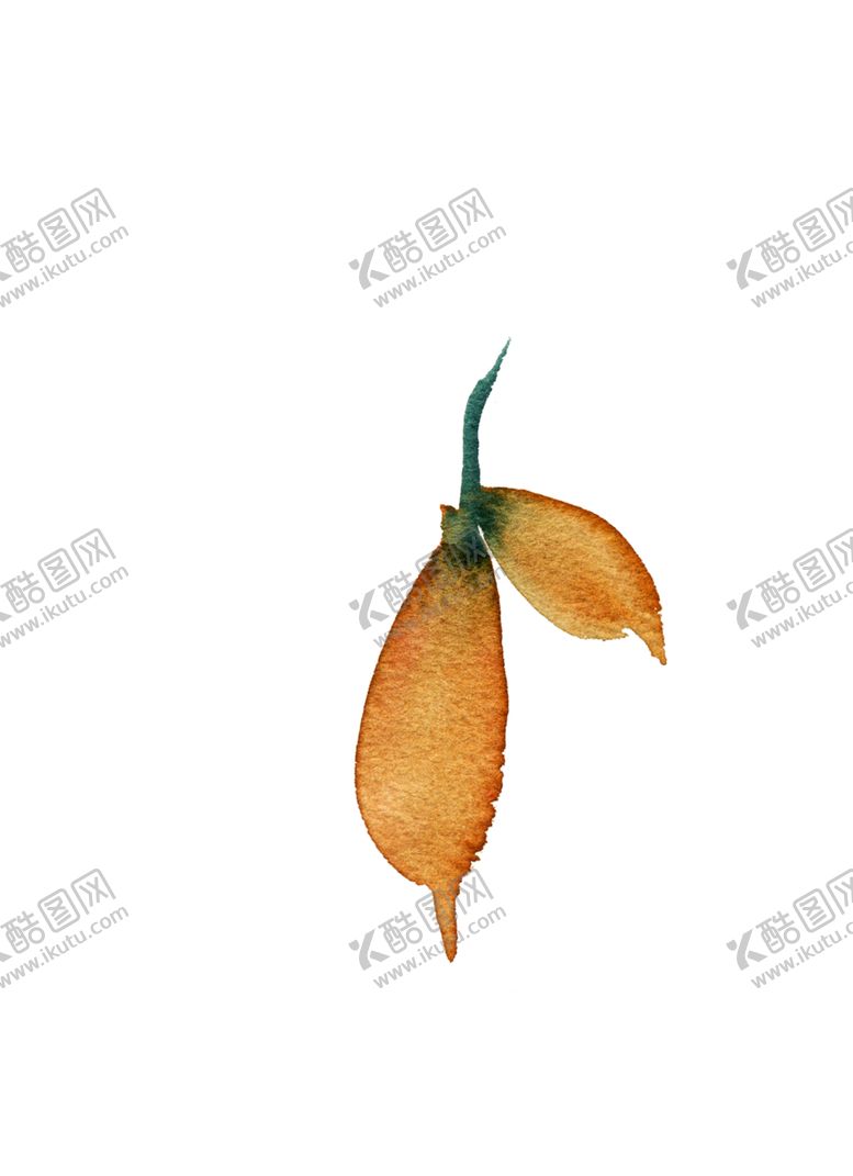 编号：42968602041446077519【酷图网】源文件下载-花叶 