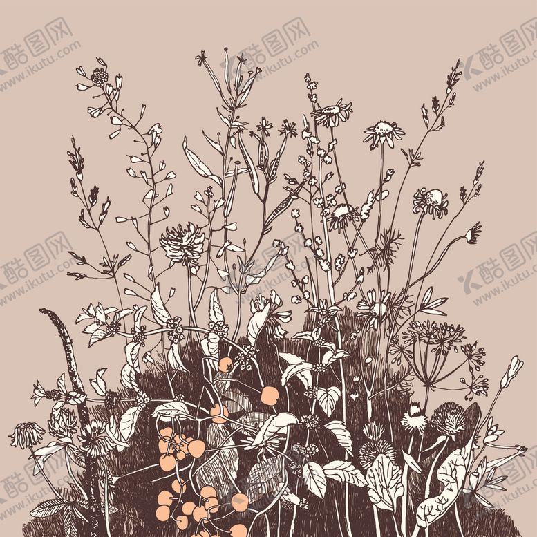 编号：91687404191220593182【酷图网】源文件下载-植物花纹背景