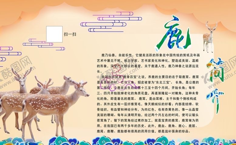 编号：93470107091106142172【酷图网】源文件下载-鹿简介介绍页