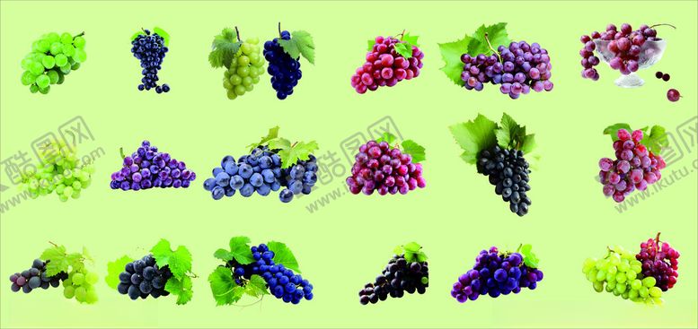 编号：34648804050700227733【酷图网】源文件下载-多彩葡萄图案设计素材