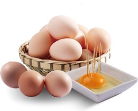 鸡蛋