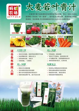大麦若叶青汁海报