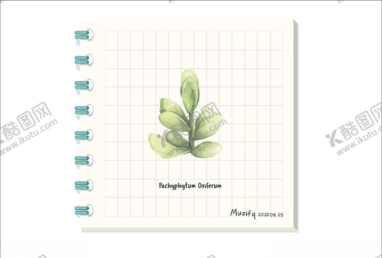 编号：85164509161329421839【酷图网】源文件下载-厚叶多肉多肉植物图鉴
