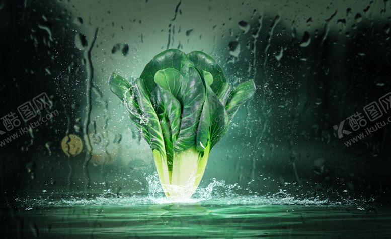 编号：62685410292144542815【酷图网】源文件下载-蔬菜海报