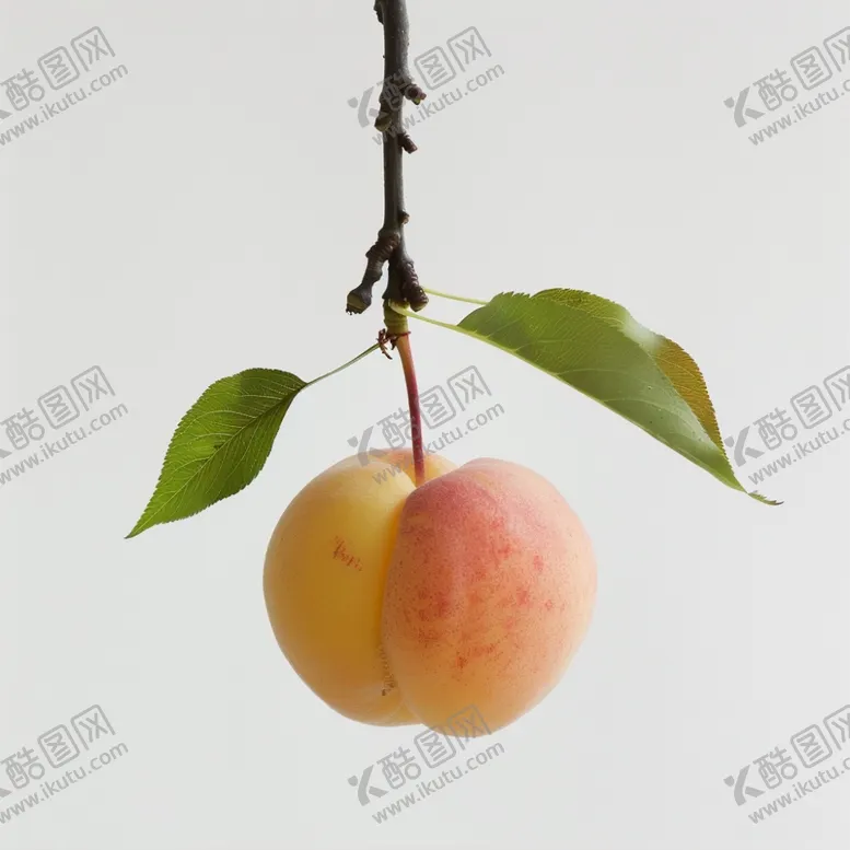 编号：76089102170404586537【酷图网】源文件下载-桃枝