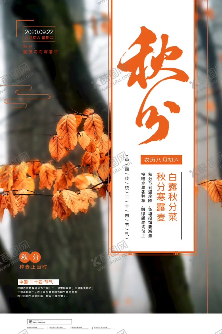 编号：54024810211420453058【酷图网】源文件下载-秋分海报