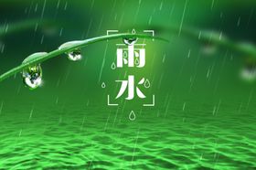 清新绿色雨水背景