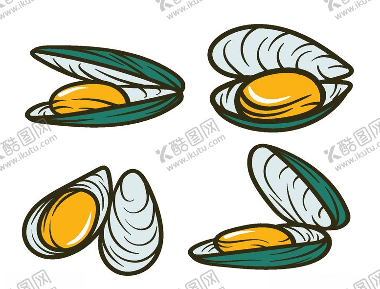 编号：82355409151116187706【酷图网】源文件下载-手绘贝壳