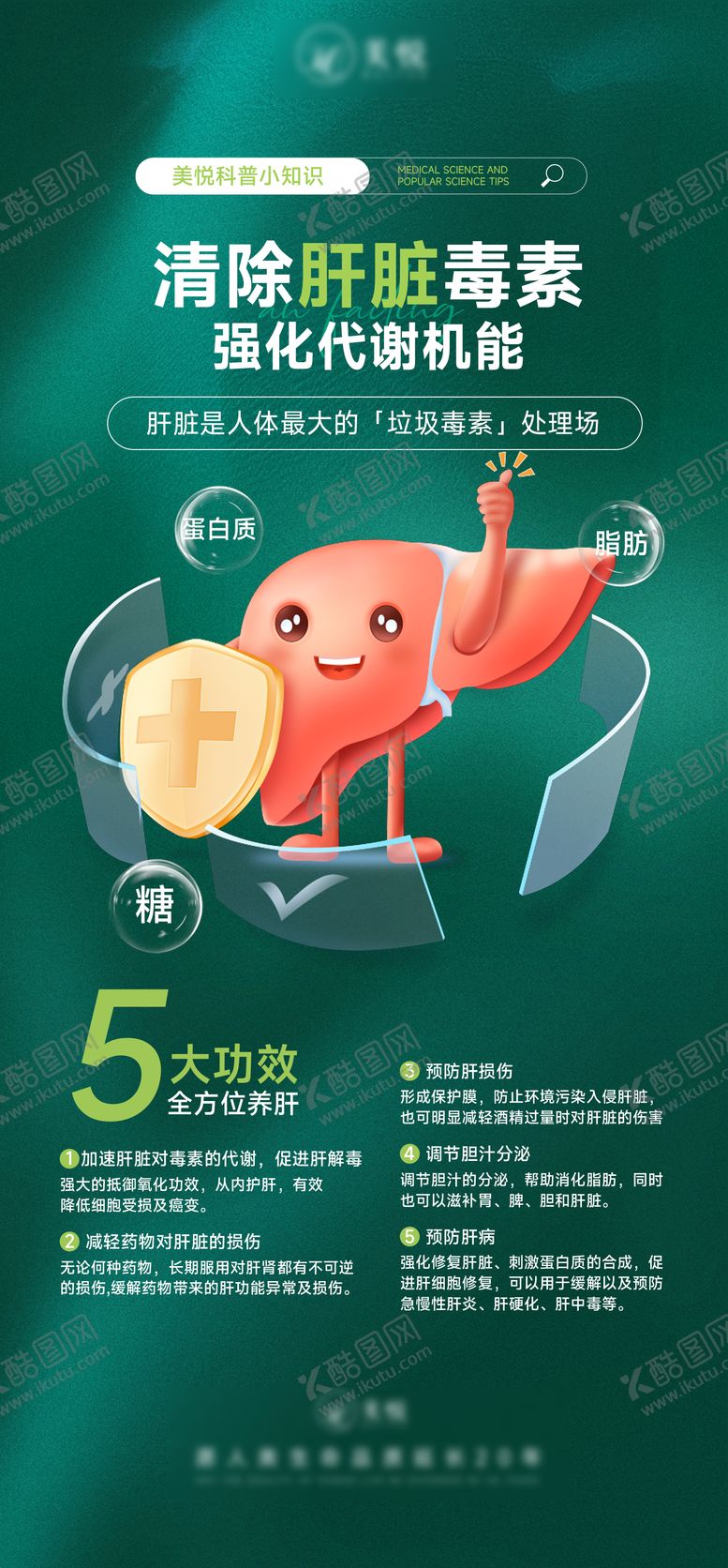 编号：63590602101613421028【酷图网】源文件下载-清除肝脏毒素