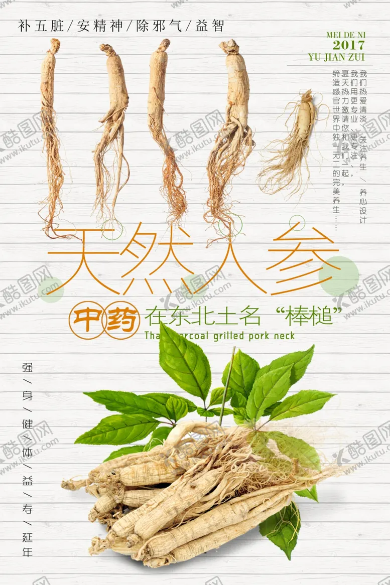 编号：38390112231055399177【酷图网】源文件下载-人参