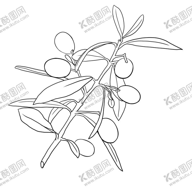 编号：30024706182357432056【酷图网】源文件下载-橄榄