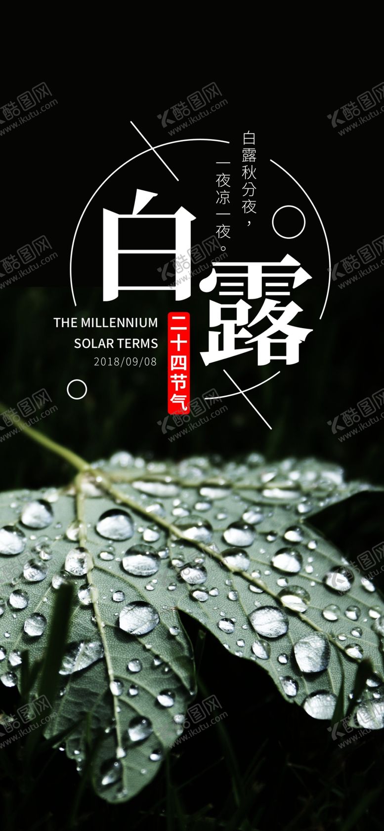 编号：81785207061449462402【酷图网】源文件下载-白露