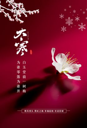 大寒节气传统活动宣传海报素材