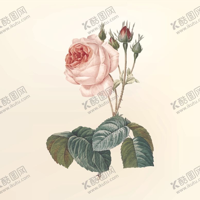 编号：94006309232317584673【酷图网】源文件下载-花纹