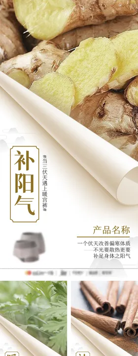 女士内裤产品海报