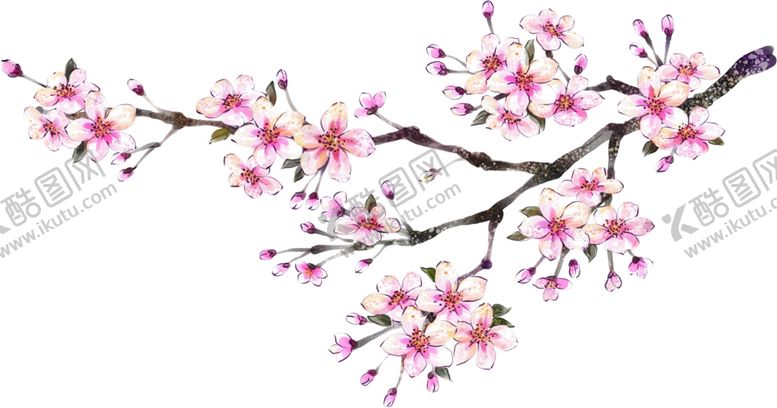 编号：86309909260850258789【酷图网】源文件下载-花枝