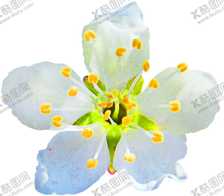 编号：13118409261825008099【酷图网】源文件下载-浪漫素材