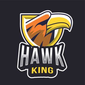 创意战队标志设计