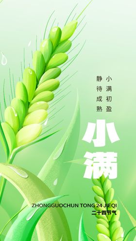 清新嫩绿小麦穗特写