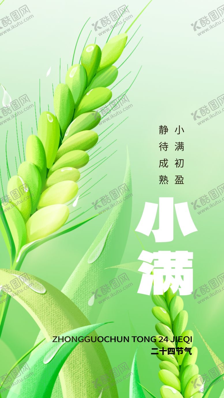 编号：81196905250111105393【酷图网】源文件下载-清新嫩绿小麦穗特写