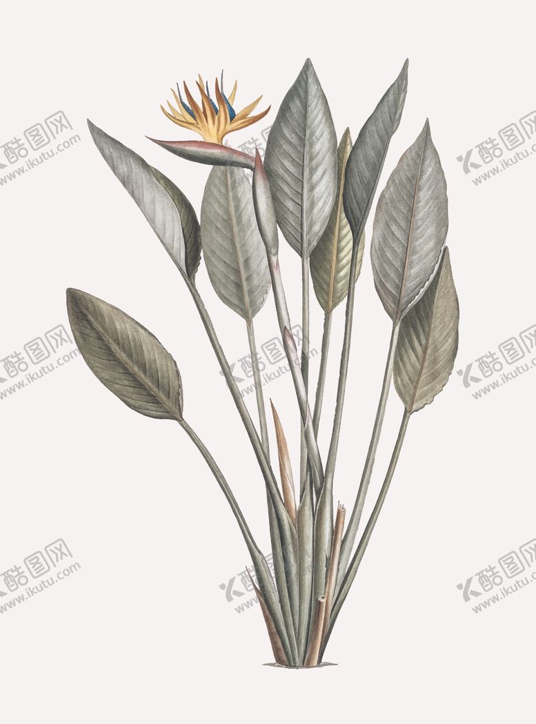 编号：81677707041333491408【酷图网】源文件下载-花纹