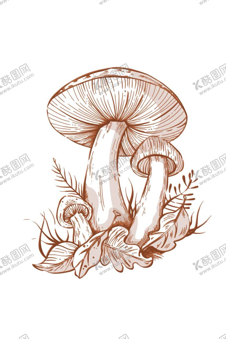 编号：24083709160016411697【酷图网】源文件下载-矢量蘑菇