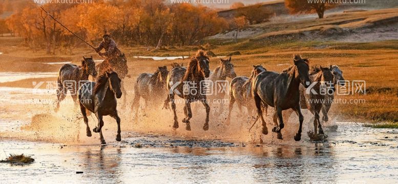 编号：10112912210153201160【酷图网】源文件下载-马群