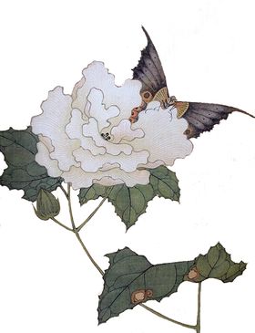牡丹花油画瓣瓣素材