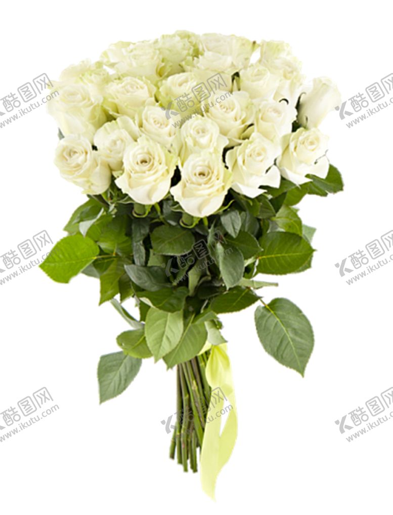 编号：48037309212318186943【酷图网】源文件下载-鲜花