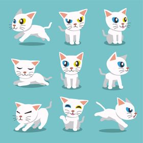 可爱小猫