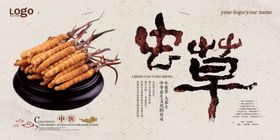 中国风虫草展板