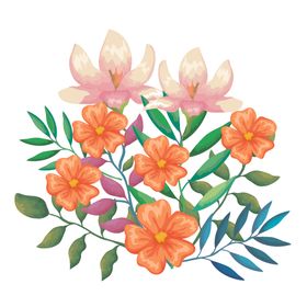 手绘鲜花