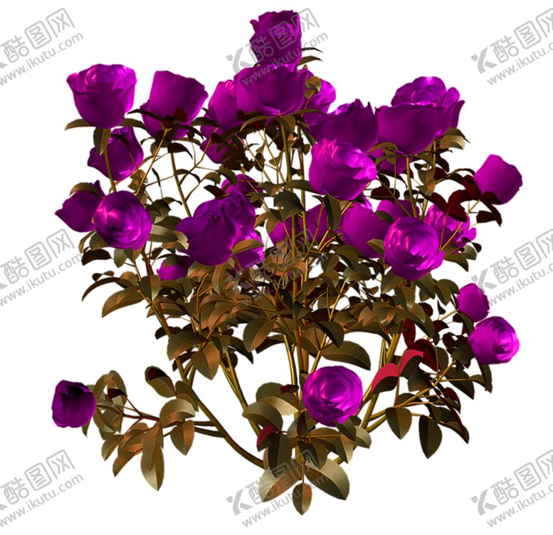 编号：13385005151657512257【酷图网】源文件下载-鲜花素材