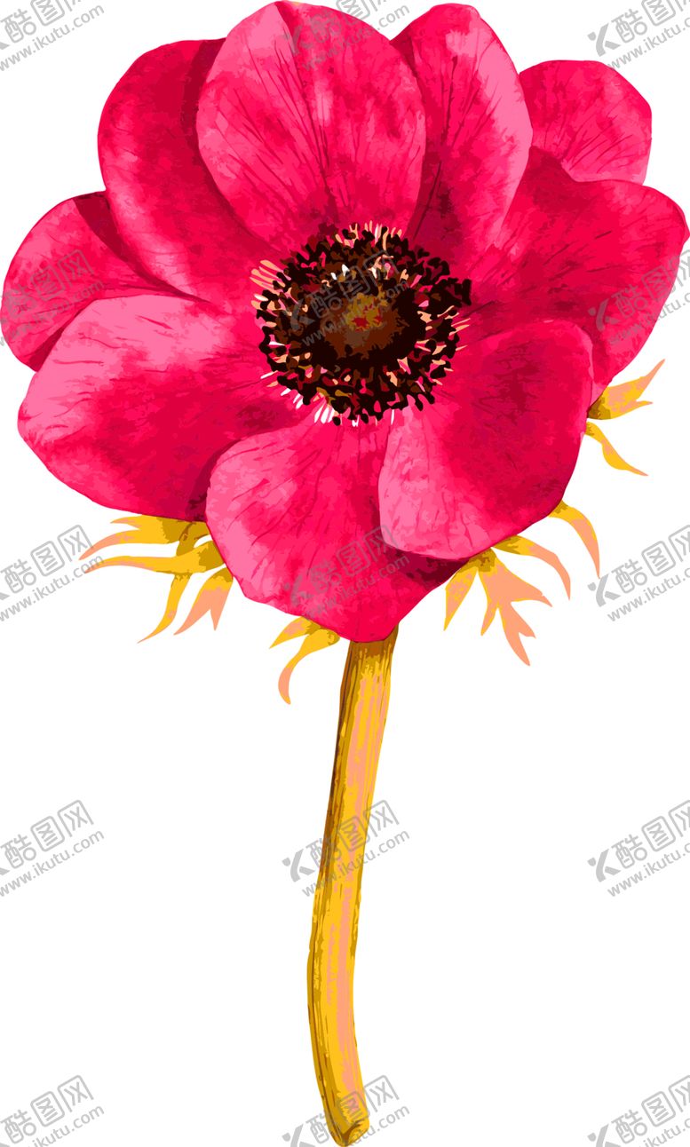 编号：33864909252013159499【酷图网】源文件下载-花素材