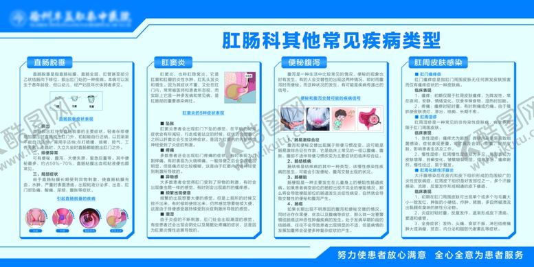 编号：97494712180424295208【酷图网】源文件下载-其他肛肠疾病展板