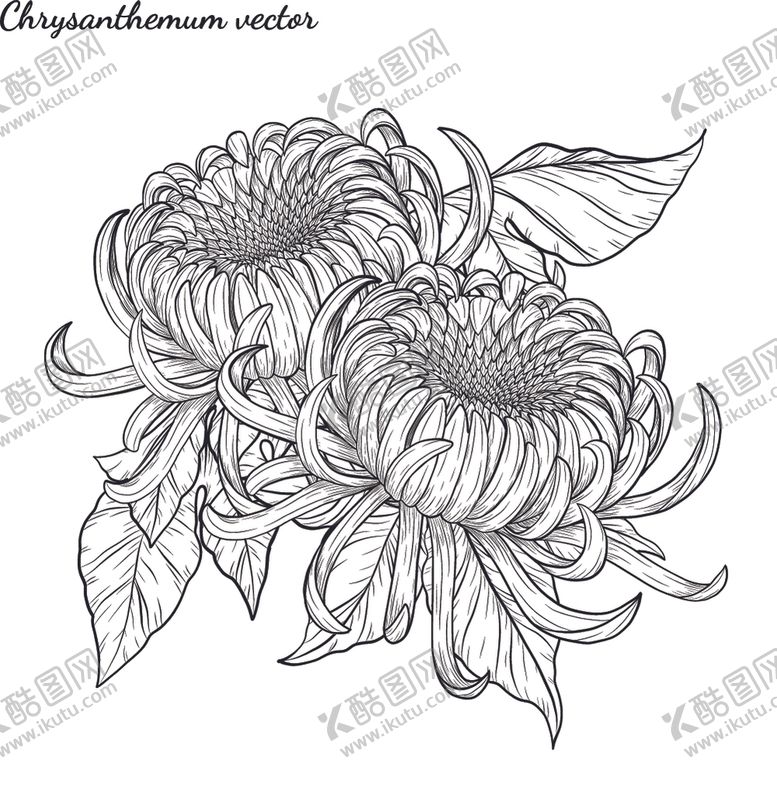 编号：27403909152023038413【酷图网】源文件下载-纯色绘画植物花朵