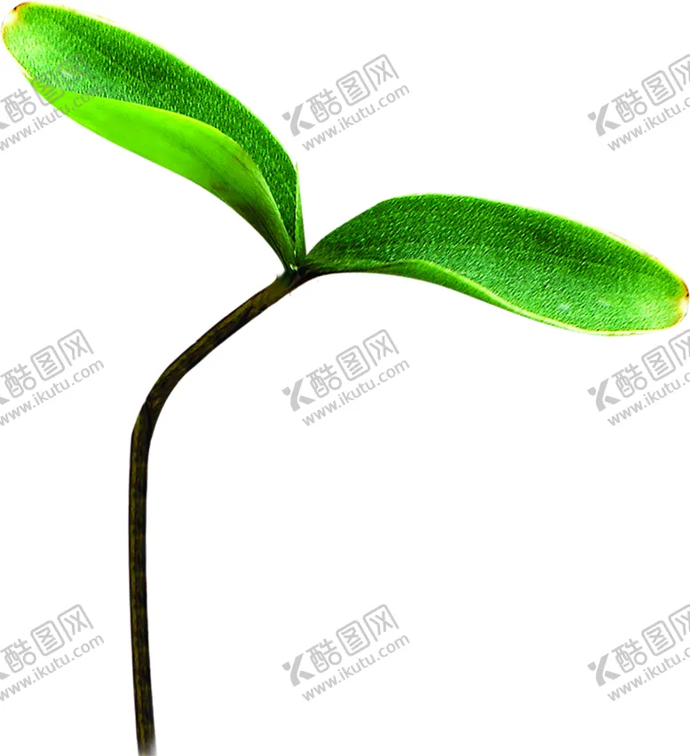 编号：79039307021854475929【酷图网】源文件下载-绿色植物