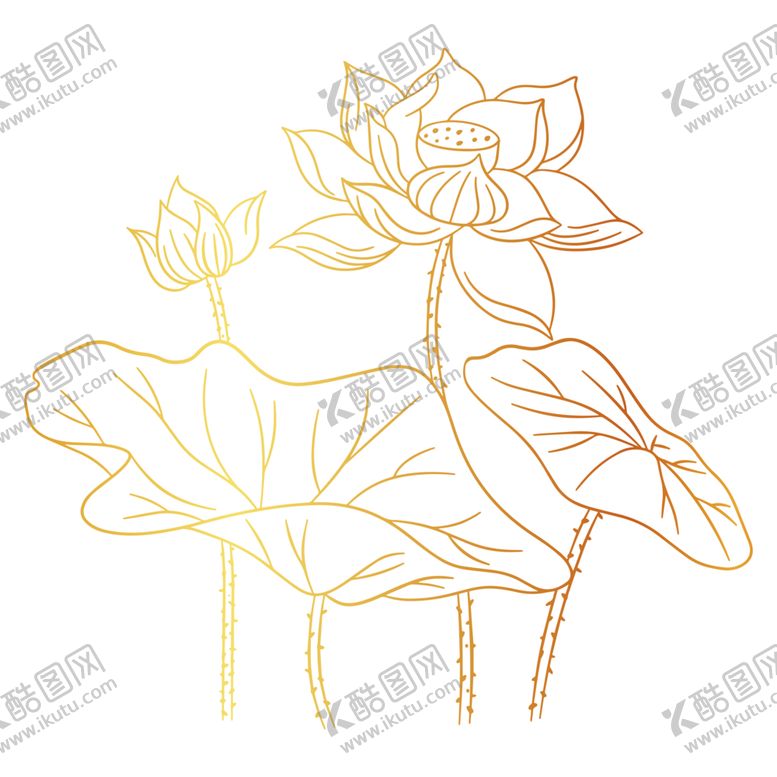 编号：95763106241516233740【酷图网】源文件下载-烫金莲花荷花花卉