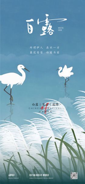 白露节气海报