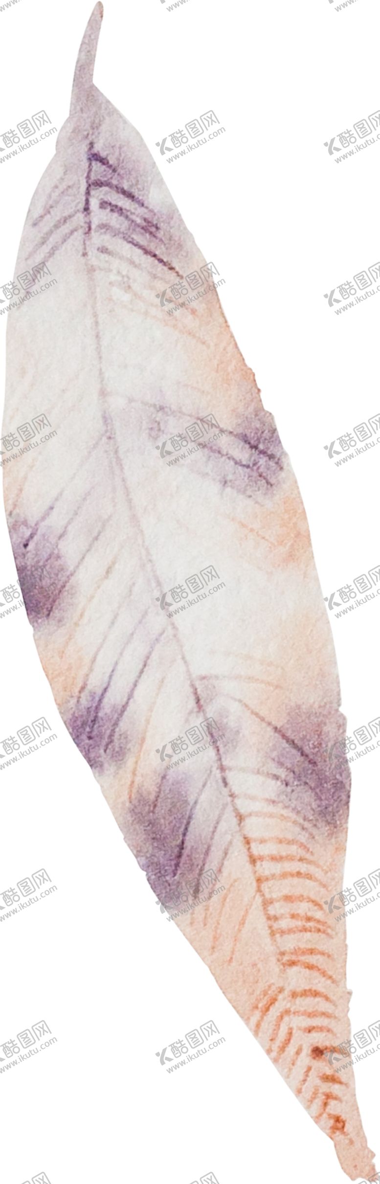 编号：27077209261127455189【酷图网】源文件下载-手绘水彩羽毛