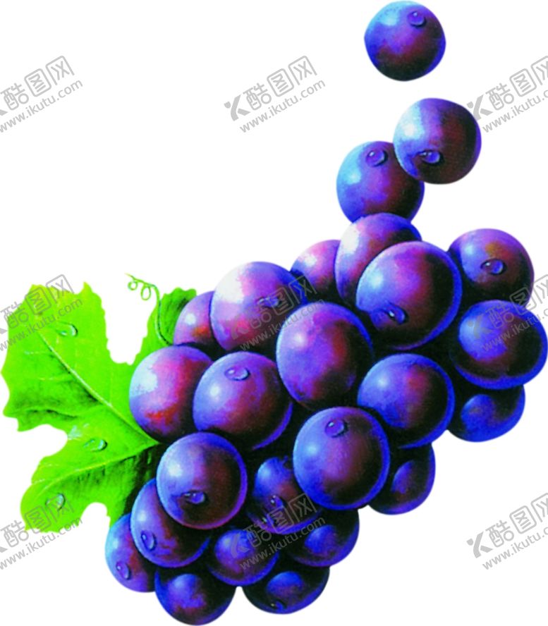 编号：99280310310651396196【酷图网】源文件下载-葡萄
