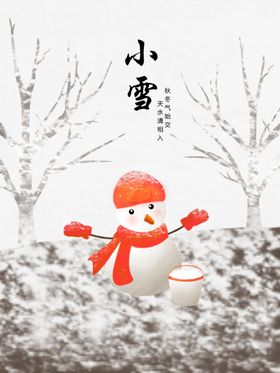 小雪飞机稿