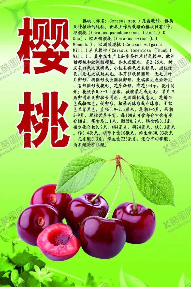 编号：70834310231315586281【酷图网】源文件下载-水果文化系列之樱桃