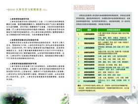 人参海报野生人参广告野山参