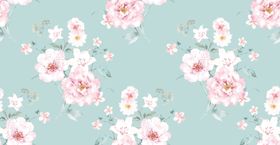 牡丹花线条手绘花